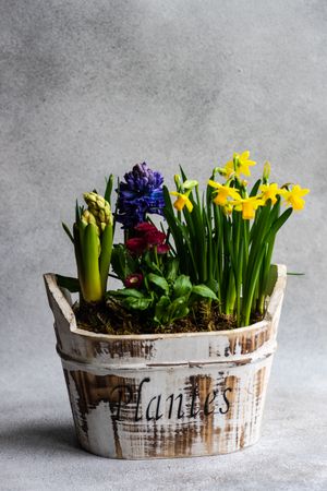 Side view of Spring floral composition in bucket