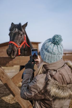 Woman taking photo of horse on smartphone