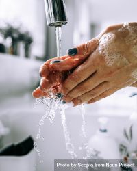 Person washing hands 4MvYrb