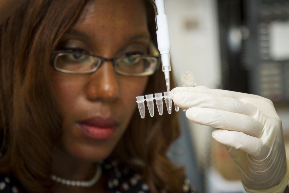 Bethesda, MD - USA,  Sept 2014: Female scientist with DNA sample pippetting