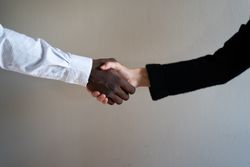 Two business people shaking hands