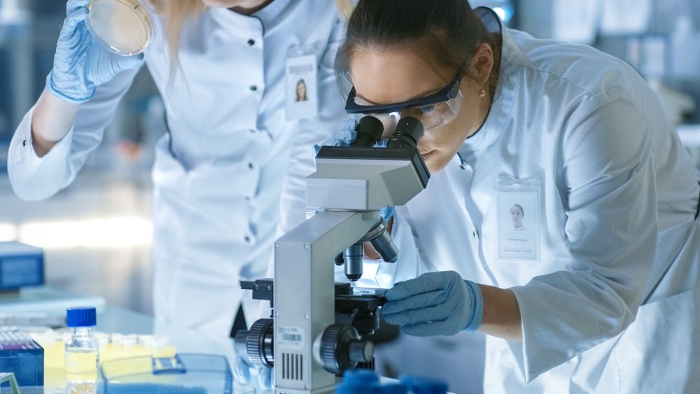 Medical Research Scientist Drops Sample on Slide and Her Colleague Examines it Under Microscope.