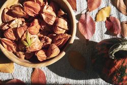 Bowl of physalis fruit in bowl