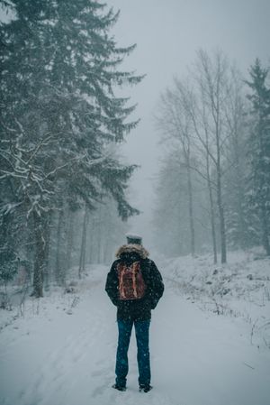 Person with backpack standing on snow covered ground