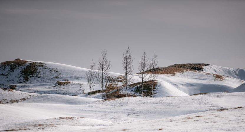 Snowy mountains covering with the fog