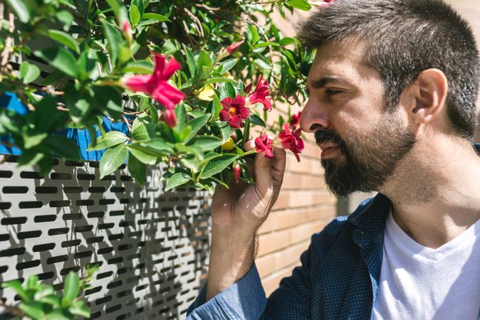 Man smelling flowers growing outside in the sun