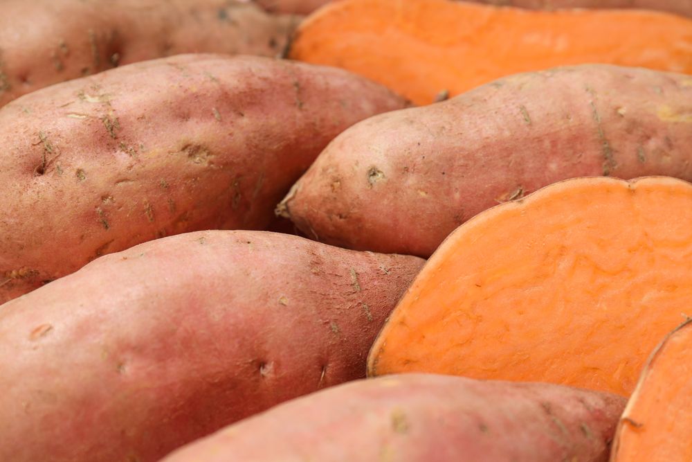 Sweet potato, concept of healthy food, vegetables
