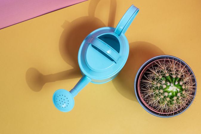 Watering can with cactus pot
