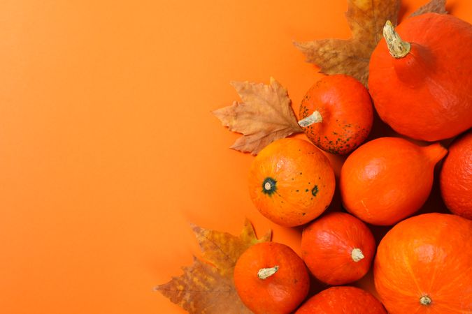 Composition with pumpkins and leaves on orange background, copy space