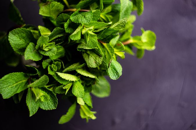 Top view of organic mint leaves with copy space