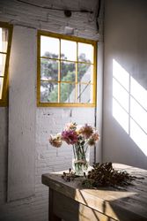 Bunches of flowers in vases on table
