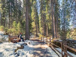Woman sitting on bench and looking at sun rays passing through trees