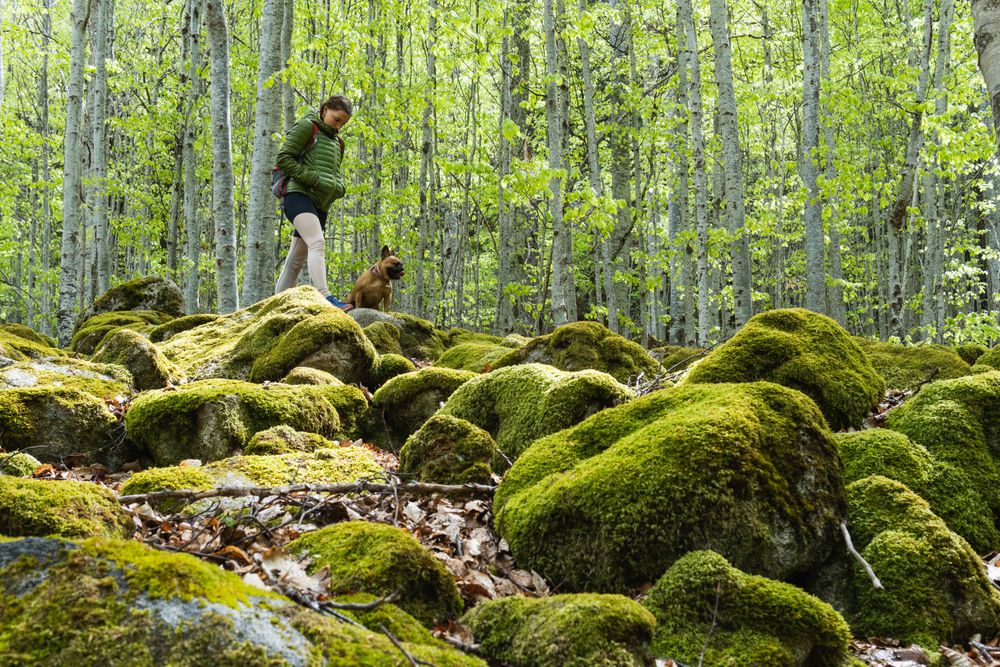 Traveling woman with dog hiking in rocky forest