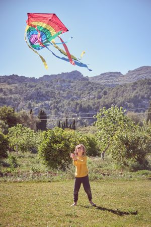 Cheerful boy playing with kite
