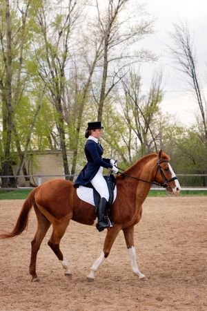 Regal dressage rider atop chestnut horse in sandy arena