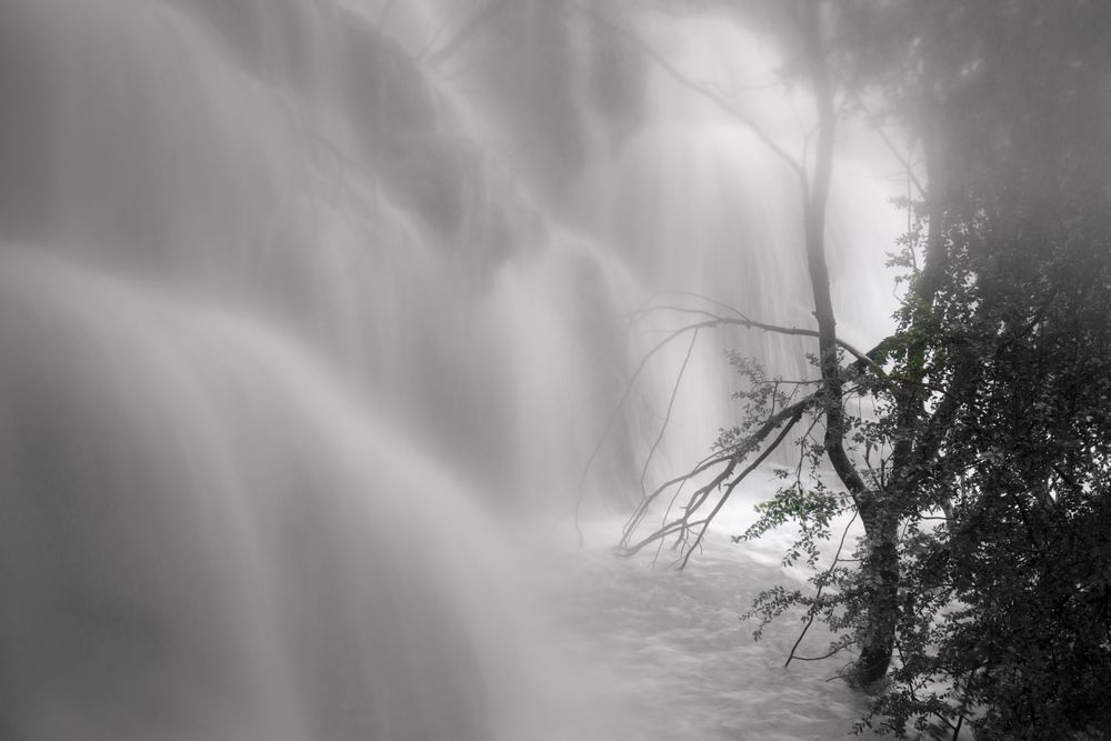 Wonderful waterfall near tree