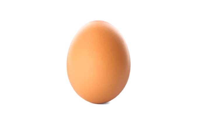 Single raw chicken egg on plain background