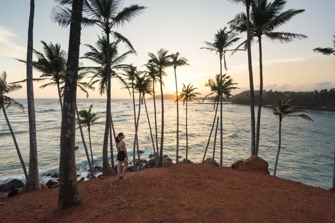 Tranquil female traveler among palms at seashore