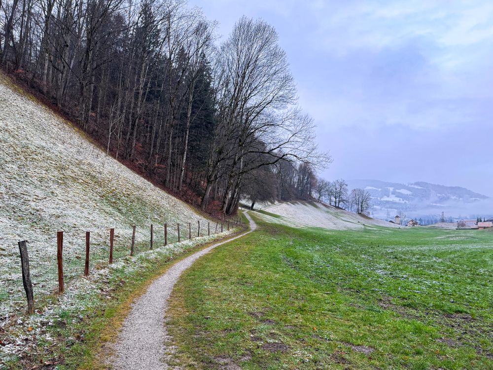 Scenic hill hike to the Château de Gruyères, FR