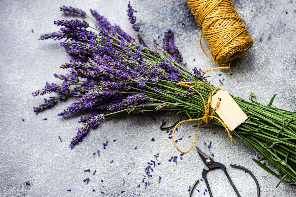Bunch of lavender flowers wrapped with string and blank note on marble counter