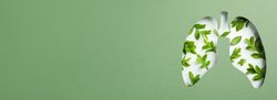Banner of lung shape cut out of green paper revealing leaves underneath with copy space