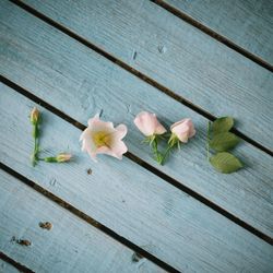 Word LOVE made of flowers and leaves