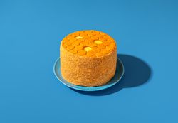Medovik, honey layered cake, in bright light minimalist on a blue table