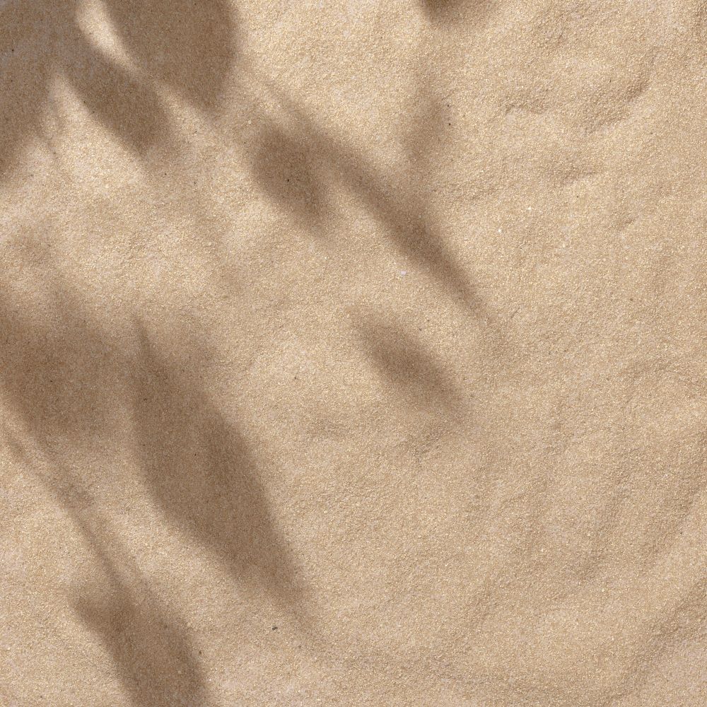 Sand with palm leaf shadows