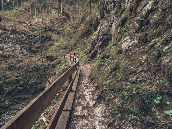 Traveller admiring picturesque view of mountain stream