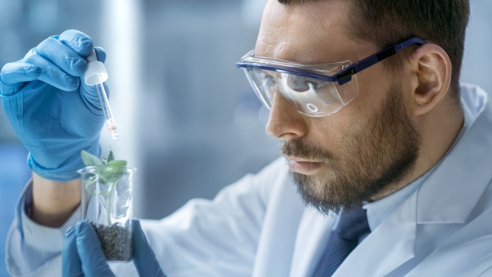 In a Modern Laboratory Food Scientist Conducts Experiments by Synthesising Compounds with use of Dropper and Plant in a Test Tube.
