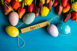 Flat lay of tulip flowers and pastel eggs on blue counter