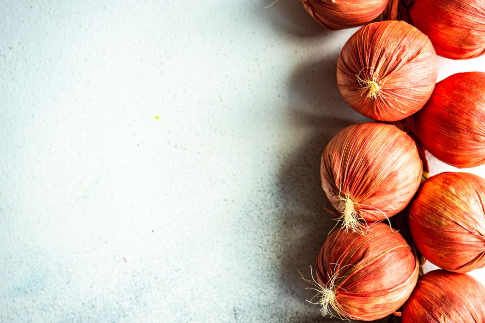 Close up of braid of onion on light table with copy space