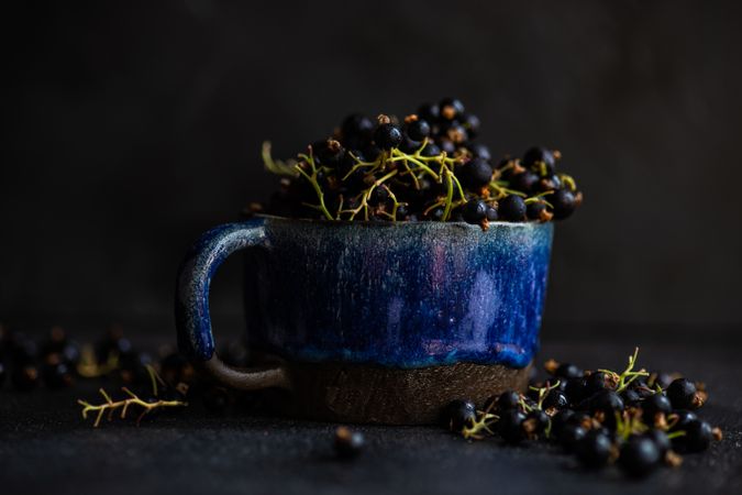 Side view of fresh blackcurrant berries overflowing from cup