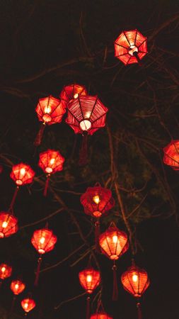 Low angle view of red lit lanterns hanging from tree at night