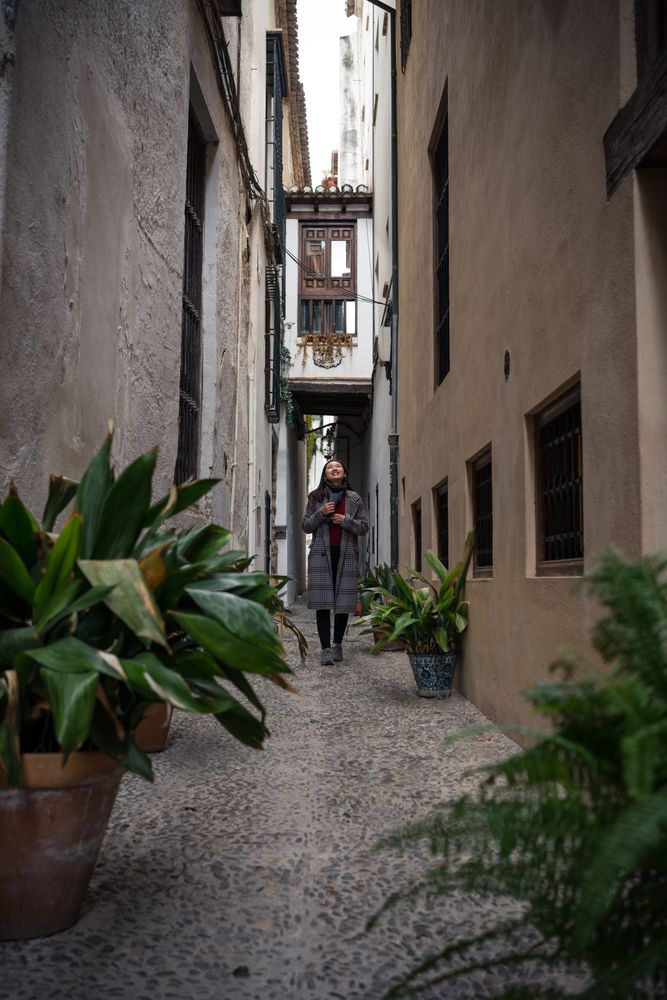 Female traveler in casual clothing at alley with quick pot of flowers