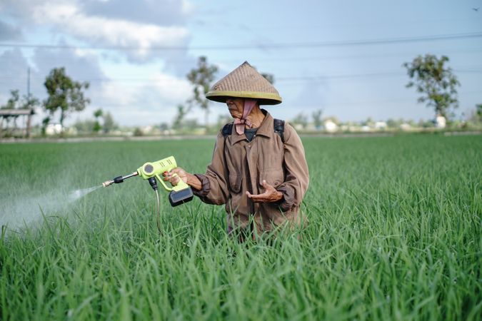 Front view of Asian mature male farmer spraying pesticide on rice green field