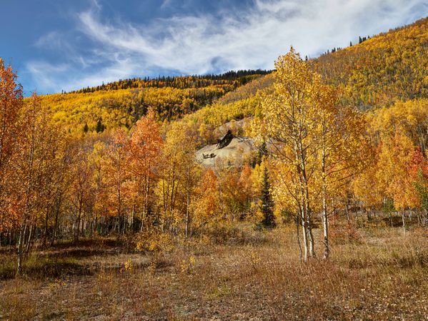Vivid fall colors in Colorado mountains