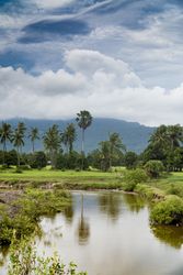 Peaceful river in green tropical landscape