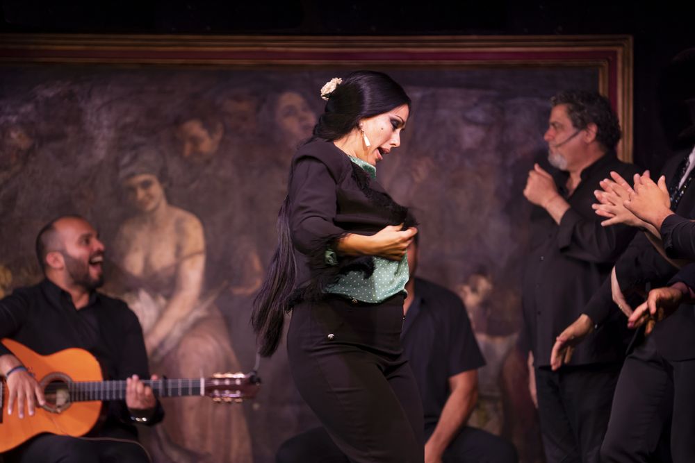 Flamenco performance on stage