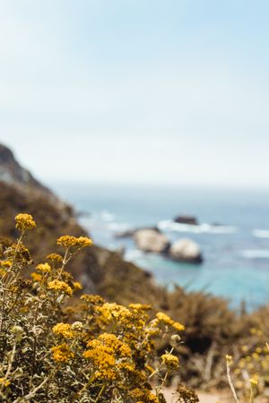 Blue waves washing rocky seashore with yellow flowers in bright day