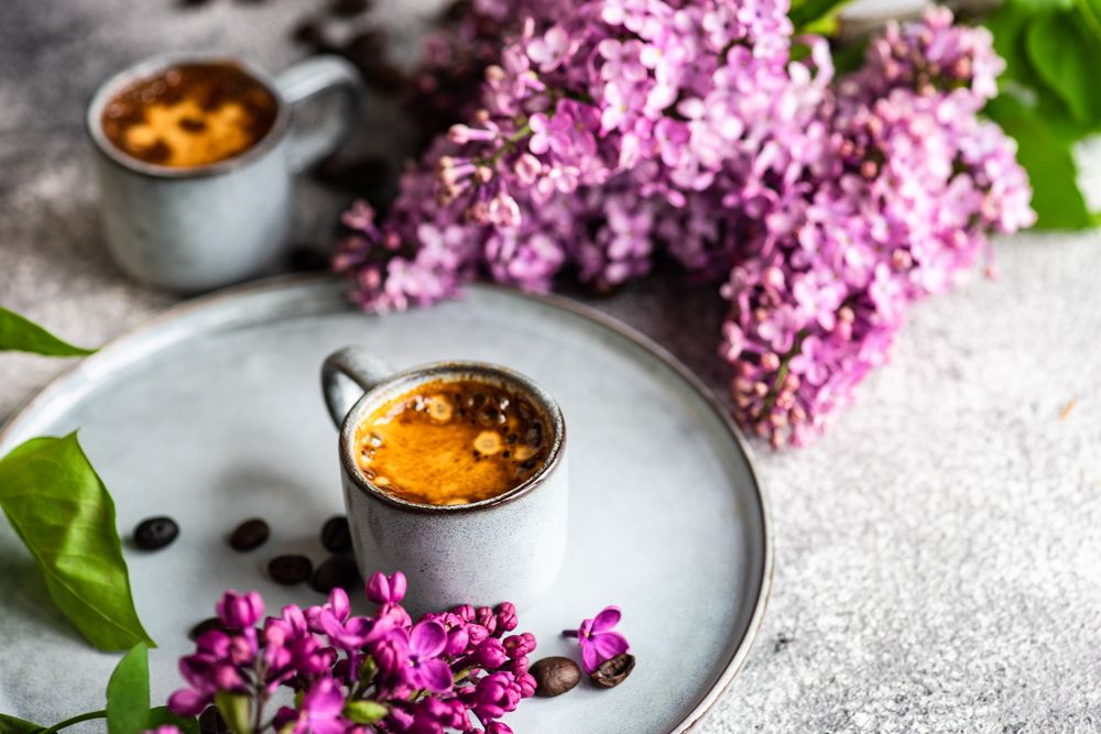 Coffee and lilac flowers