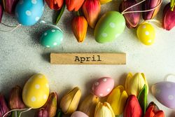 Flat lay of tulip flowers and dotted pastel eggs