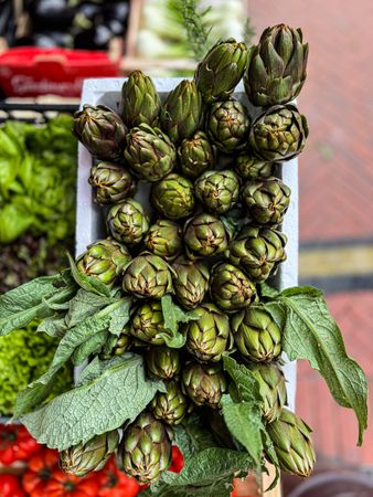 Asparagus tips for sale at market