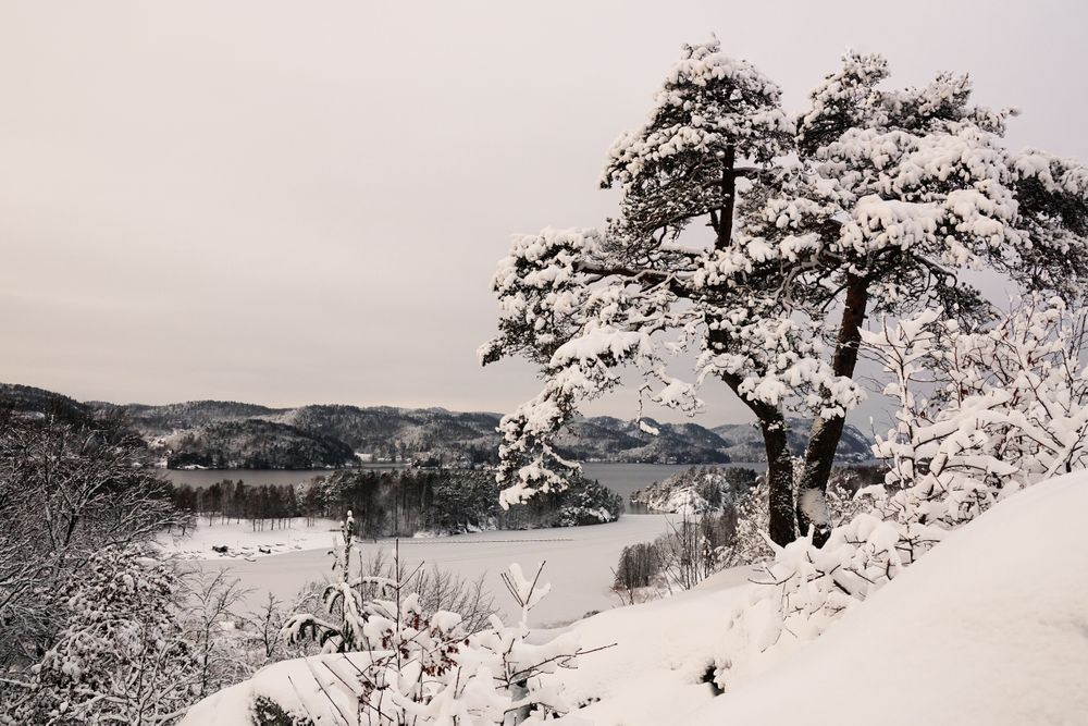 Snowy peaceful mountain valley at shore