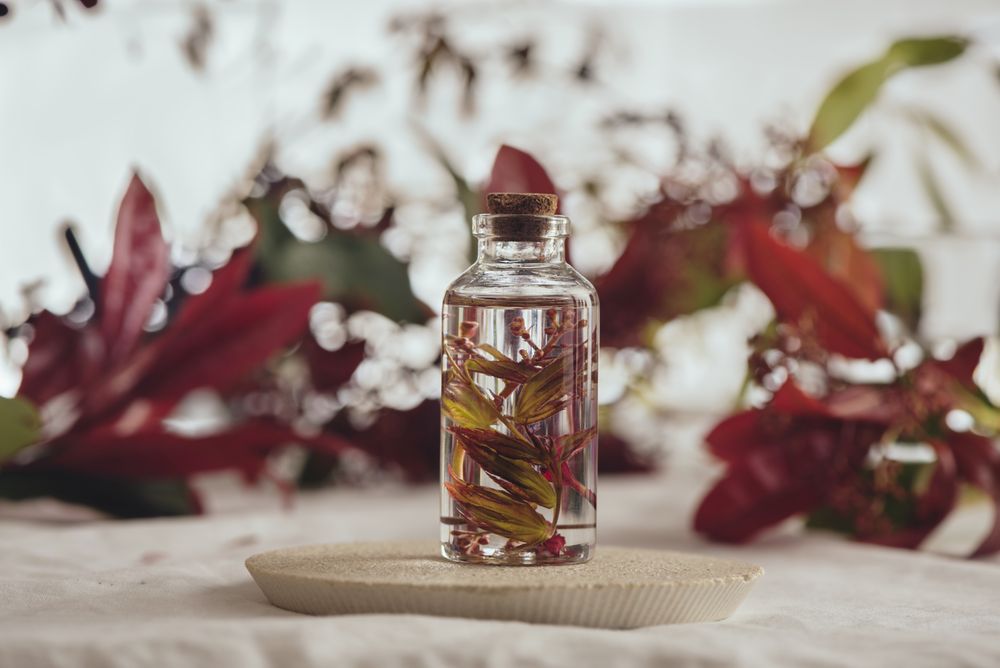 Bottle with fresh plant in liquid between foliage