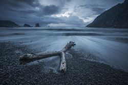Log lying on stony beach around waves