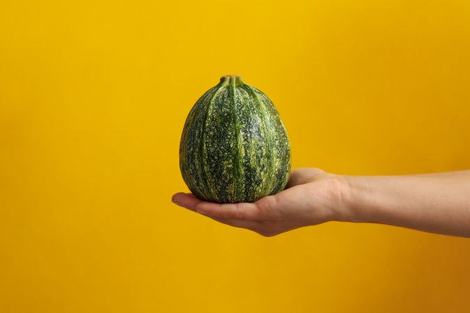 Female hand hold zucchini on yellow background