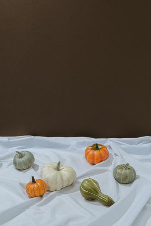Retro styled autumn still life arrangement with squashes on light sheet and brown background