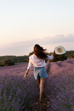 Anonymous woman walking in lavender field