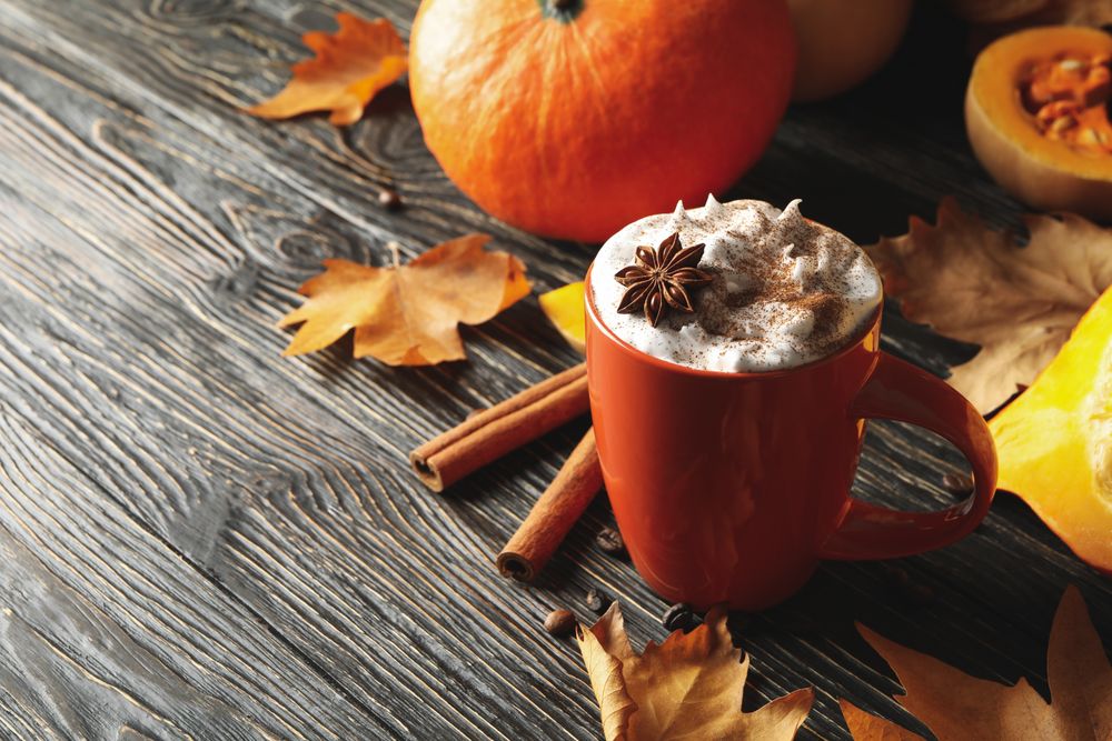 Composition with cup of pumpkin latte, cinnamon and pumpkin on wooden background